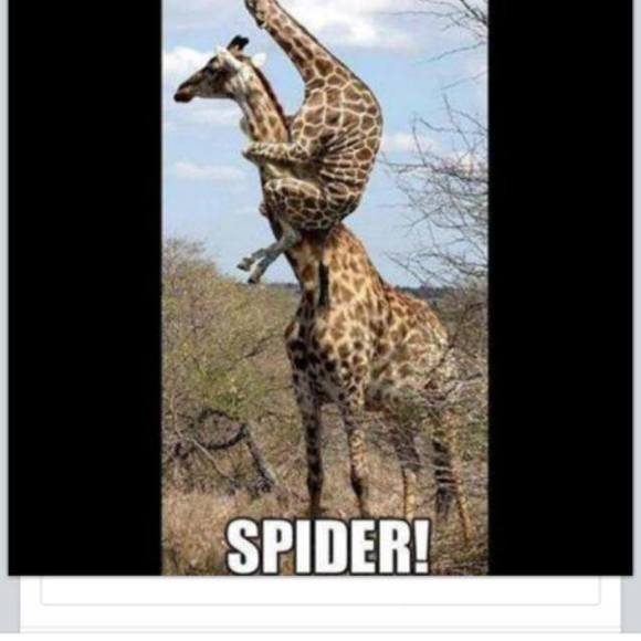 Meet your Posher, Neil - Picture 1 of 1